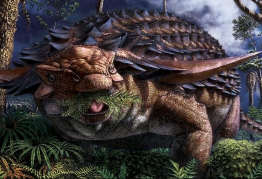 Предсмертная трапеза: ученые выяснили, чем питались анкилозавры 110 миллионов лет назад - фото 1