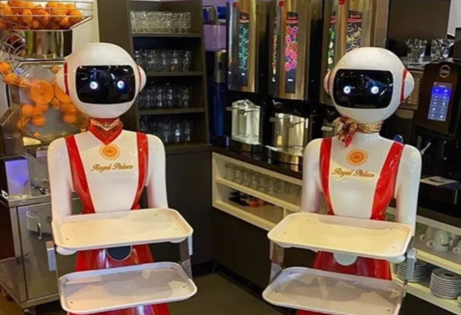 Роботы в борьбе с пандемией - в кафе Нидерландов посетителей обслуживают андроиды - фото 1