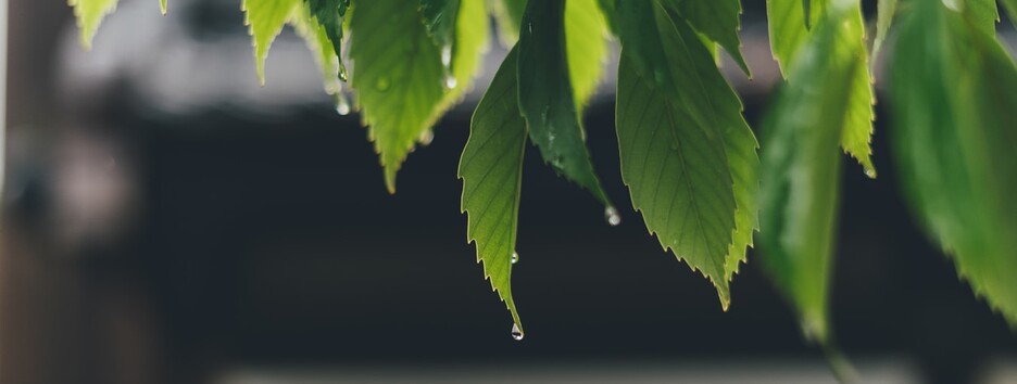 Линия восхождения и циклон Octavia: в Украине местами ожидаются дожди, грозы и шквалы - карта