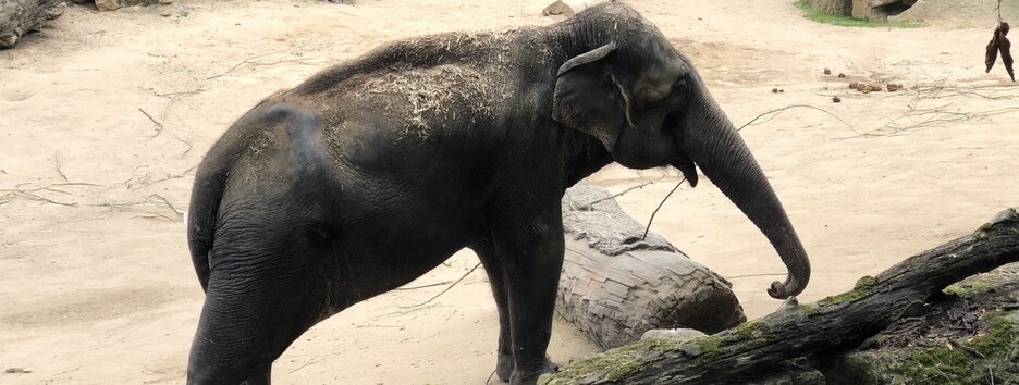 20 июня: какой сегодня праздник, День ангела и приметы - фото, видео