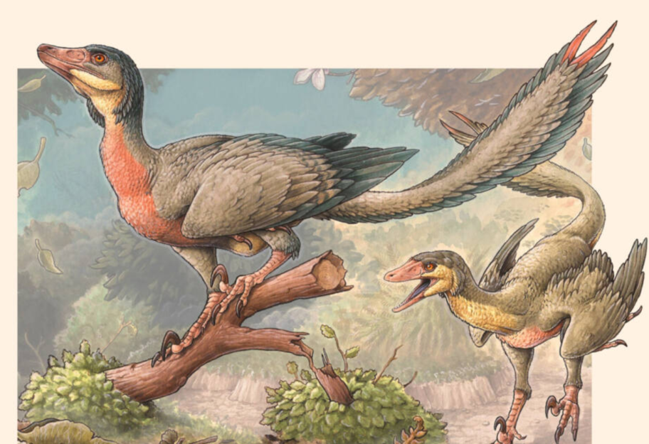Ящер с птичьими крыльями: палеонтологи сообщили об открытии нового вида динозавров  - фото 1