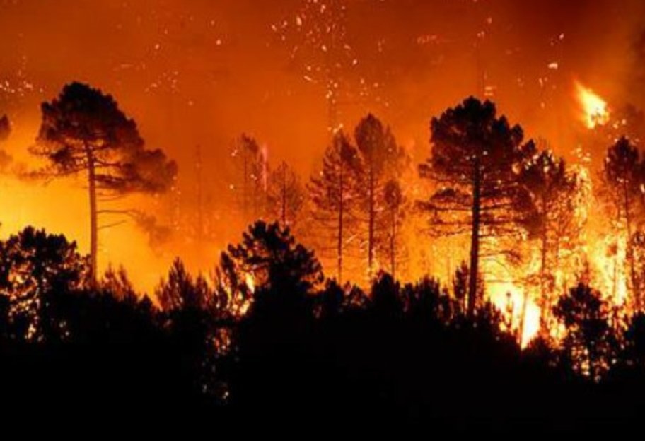 Колоссальный вулканический пожар - группа ученых назвала причину крупнейшего вымирания на Землем - фото 1