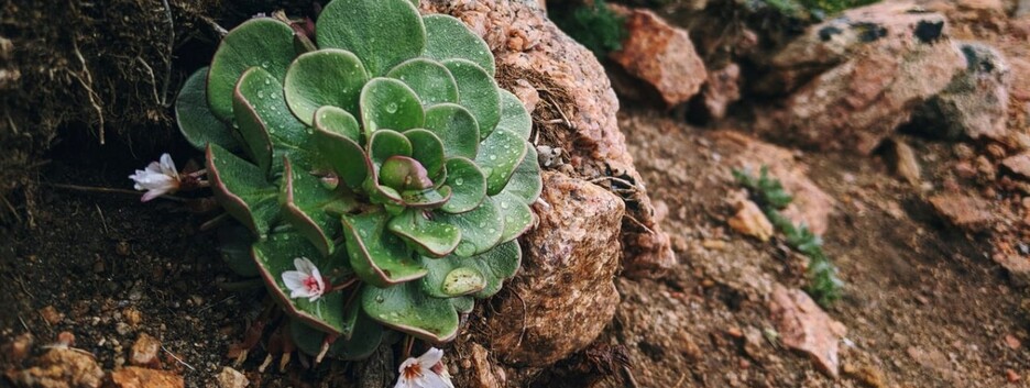Погода на выходные: местами ожидаются дожди и грозы - карта