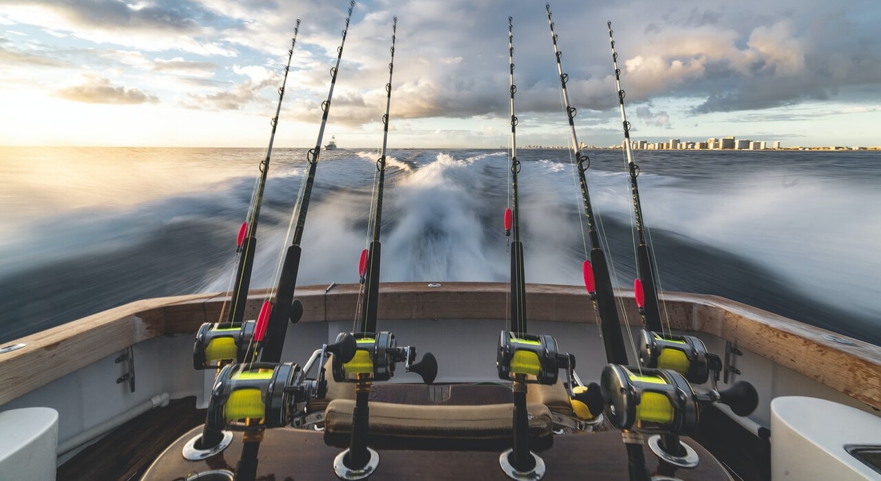 Всемирный день рыболовства: история праздника, поздравления и открытки
