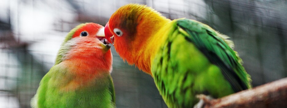 6 июля: какой сегодня праздник, День ангела и приметы - фото, видео