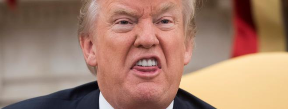 «Моя семья создала самого опасного человека»: племянница Трампа написала книгу о детских травмах лидера США