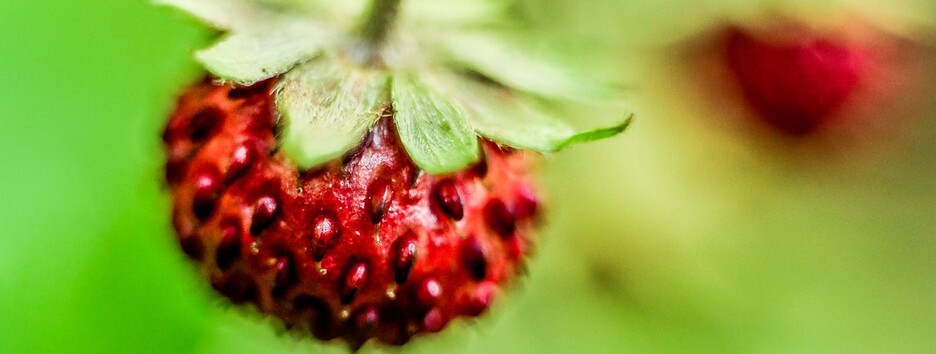 9 июля: памятные даты, День ангела и приметы - видео