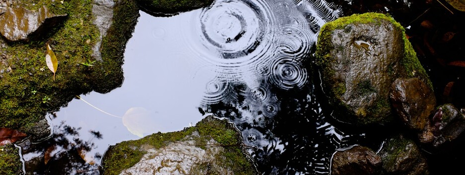 Погода на Петра и Павла: в ряде областей ощутимо похолодает, пройдут грозовые ливни - карта