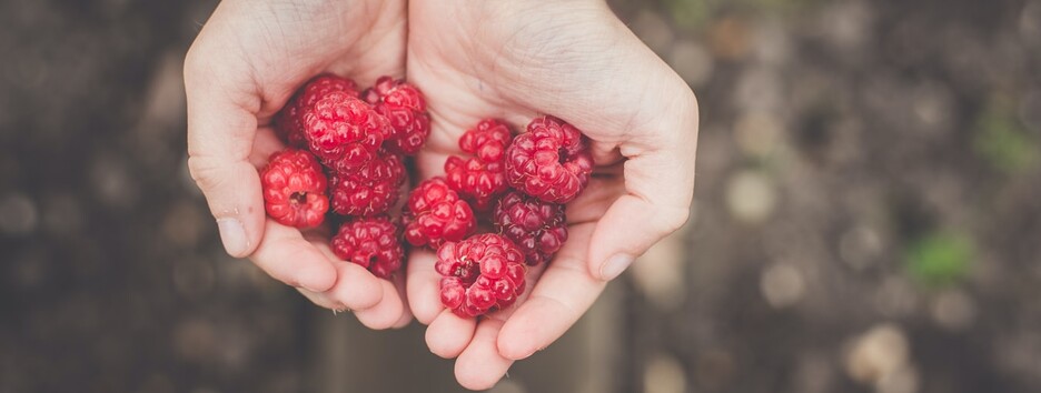 14 июля: какой сегодня праздник, День ангела и приметы - видео