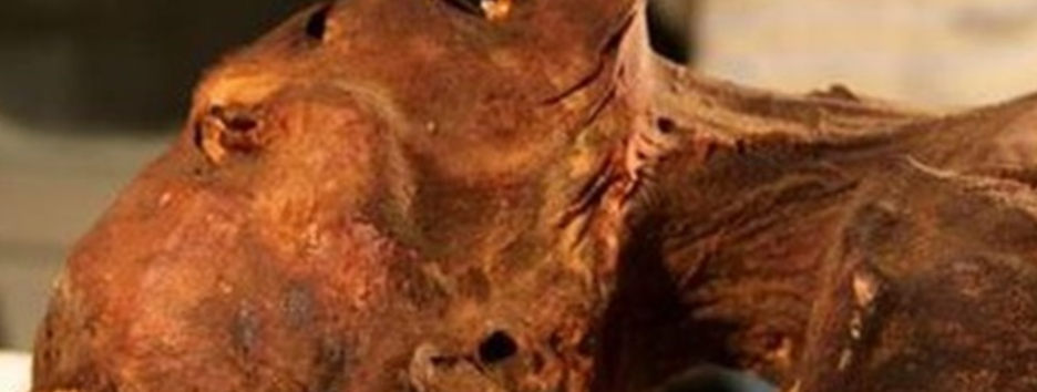 «Кричащая мумия»: археологи раскрыли тайну захоронения египетской принцессы - фото