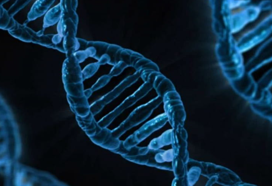 Источник генетического бессмертия - ученые нашли механизм защиты от прыгающих генов - фото 1