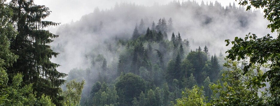 День Ильи: какую погоду ждать украинцам - карта