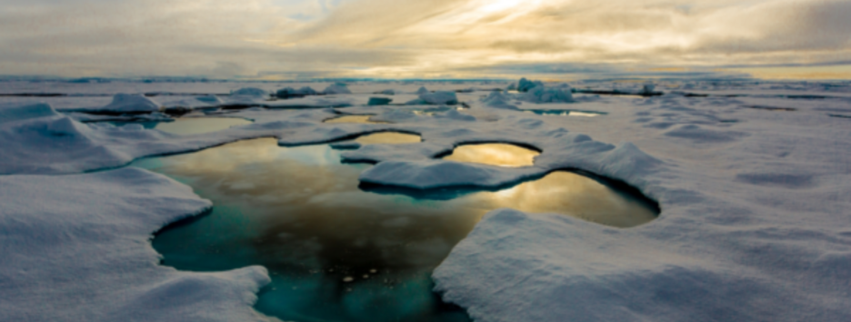 Вечный химикат: в льдах Арктики обнаружили «экологичный» заменитель бытовых канцерогенов
