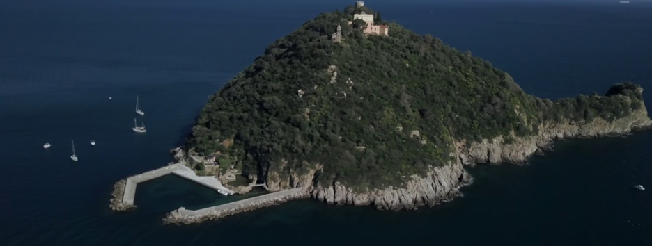 Сын бывшего владельца Мотор Сичи приобрел остров в Италии - фото