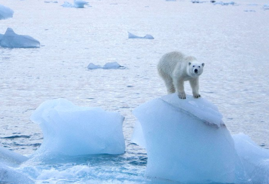 Арктика без льда - ученые назвали пугающие последствия климатического кризиса - фото 1