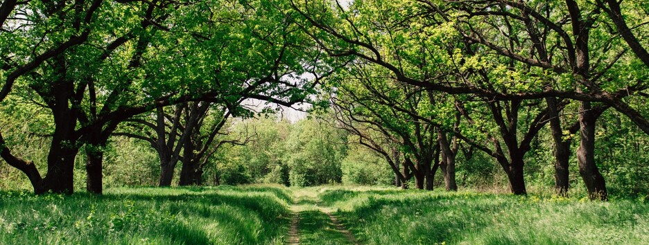 «В Украину зашла свежая воздушная масса»: местами ожидаются дожди - карта