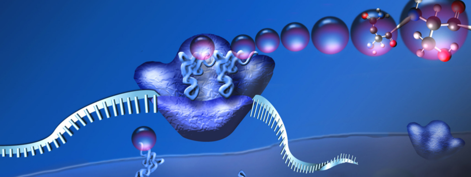 Главное выживание, а не улучшение: ученые открыли новый принцип эволюции