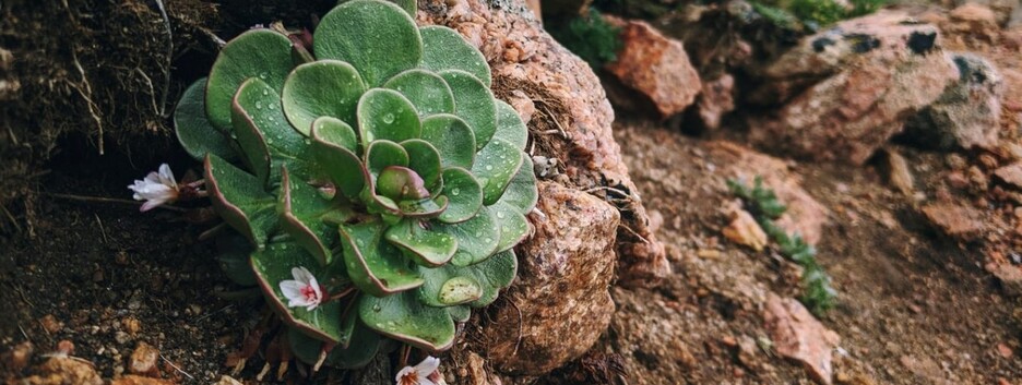 Погода на сегодня: местами ожидается ослабление жары и дожди - карта