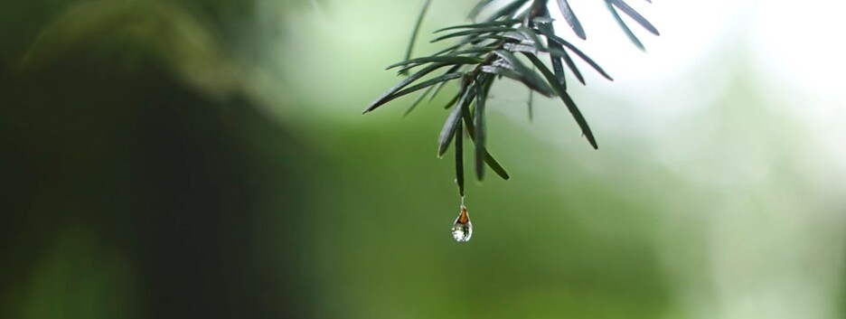 Погода на сегодня: местами ожидаются дожди, возможны ливни и шквалы - карта