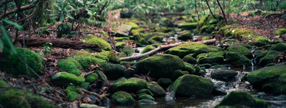 Погода в День флага: местами ожидаются дожди с грозами, температура до +31 - карта