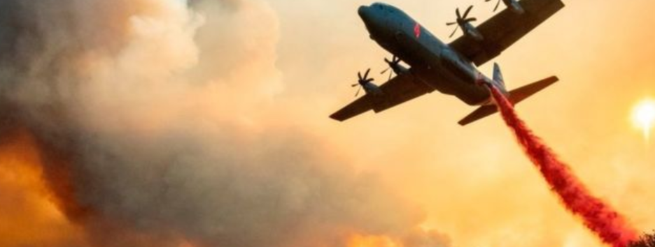 Самые масштабные за всю историю: Калифорнию охватили смертоносные пожары – фото, видео