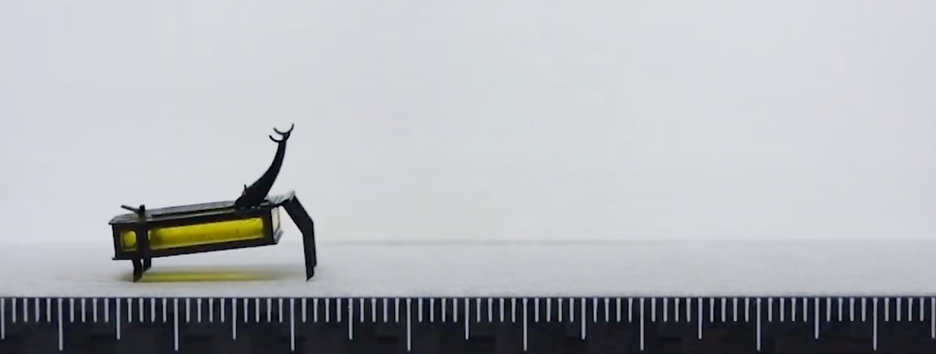 «Спиртобот», ИИ-философ и «вневременные» навыки нейросети: самые необычные научные открытия - видео