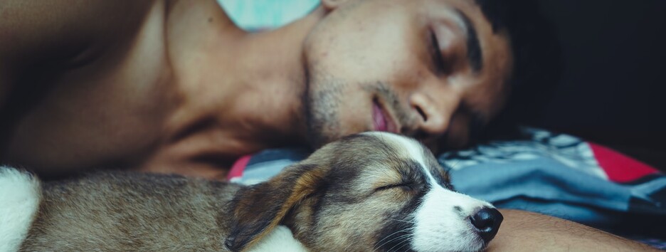 Технологические новинки: созданы автоматический разгадыватель снов и расшифровщик аудио