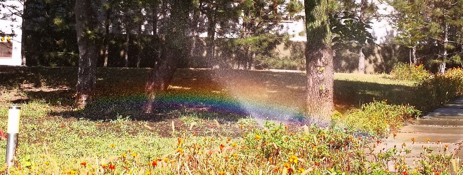 «Кисло-сладкая погода»: в Украине местами жара, местами возможны дожди - карта