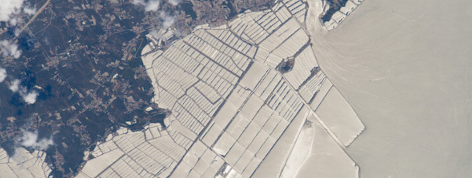 Климатический кризис: экологи создали карту влияния человека на планету - фото