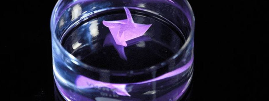 Ткань с памятью: ученые США создали биоматериал, запоминающий свою форму - видео