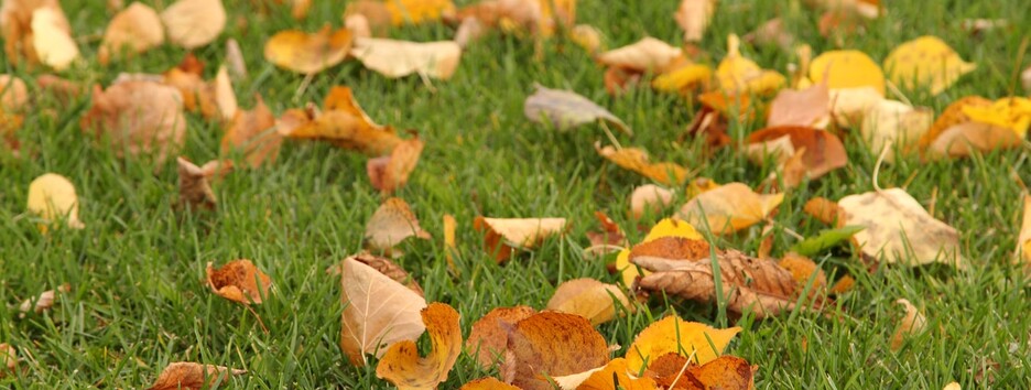 Солнечно и без осадков: в пятницу в Украине ожидается настоящее «бабье лето» - карта