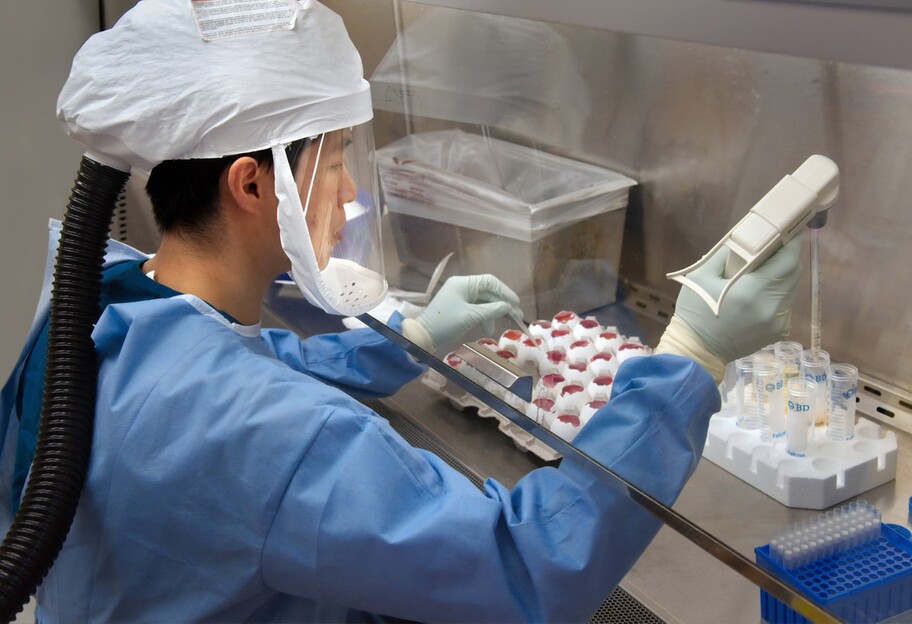 Вирус против опаснейшего штамма - ученые нашли необычный способ блокировать грипп H1N1 - фото 1