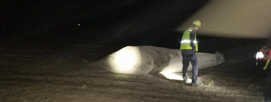 Масштабный взрыв под Киевом: что известно о причинах и последствиях - фото, видео