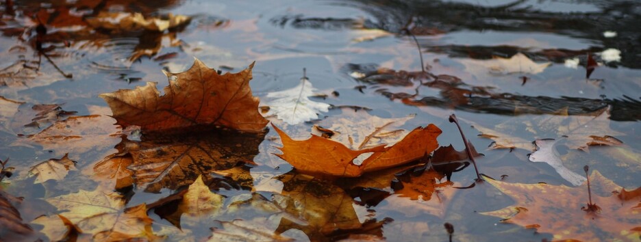 Заморозки и сильный ветер: в Украине резко изменится погода - карта