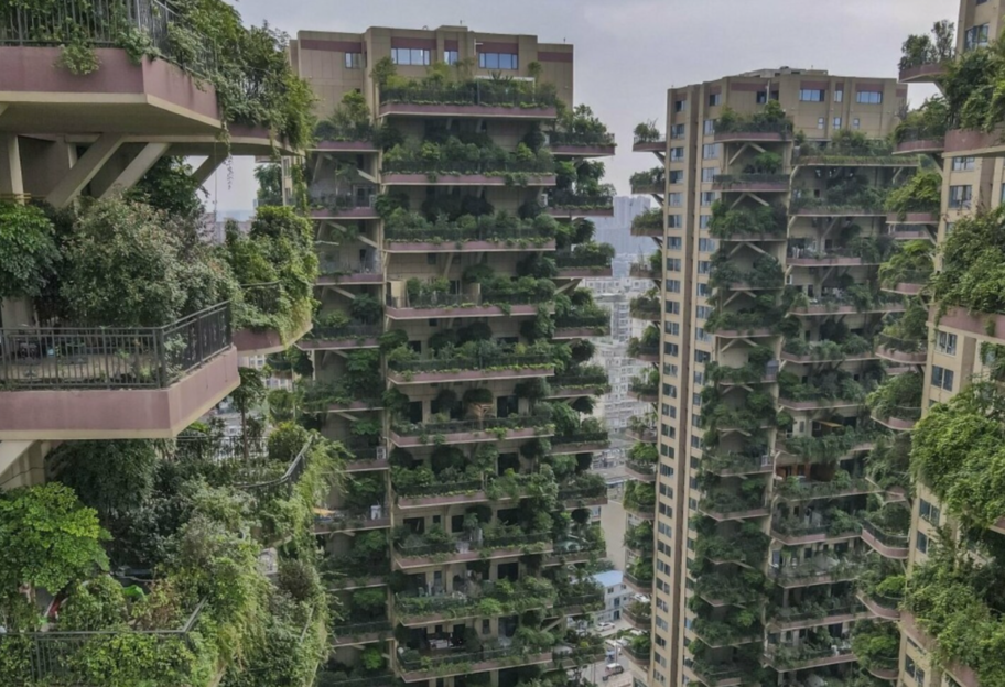 Напоминает постапокалипсис - в Китае дом с вертикальным лесом превратился в джунгли - фото 1