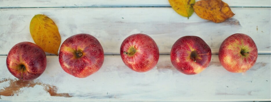 «Классическое бабье лето»: какую погоду ждать в ближайшую неделю - карта