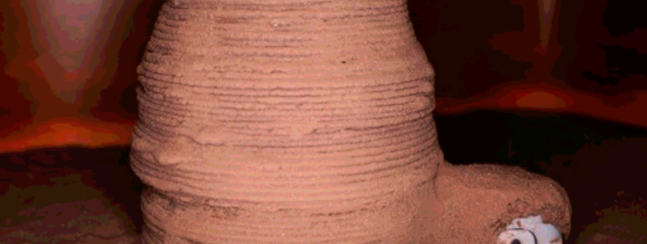 Помогли насекомые и ракообразные: инженеры создали материал для строительства домов на Марсе