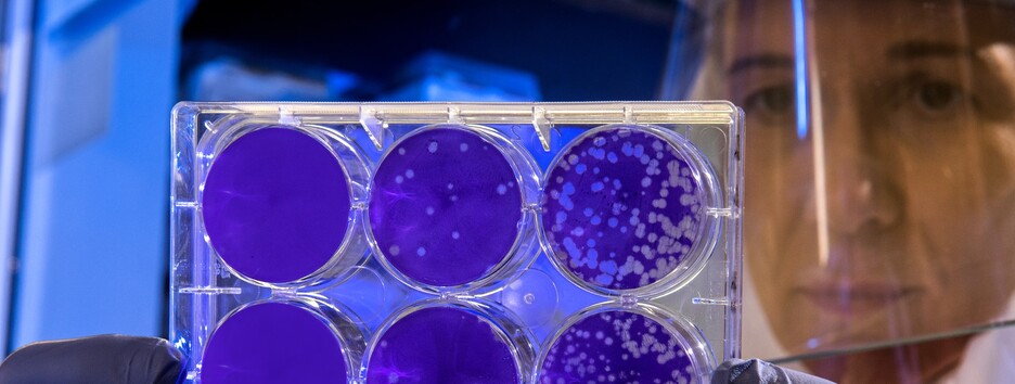 Золото против рака: ученые придумали способ «убийства» опухолей