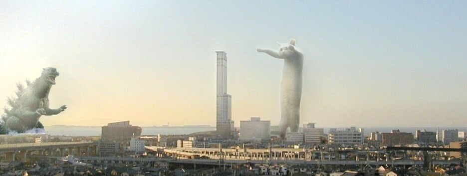 «Икона былой эпохи»: умер Длиннокот, один из главных мемов 2000-х - фото