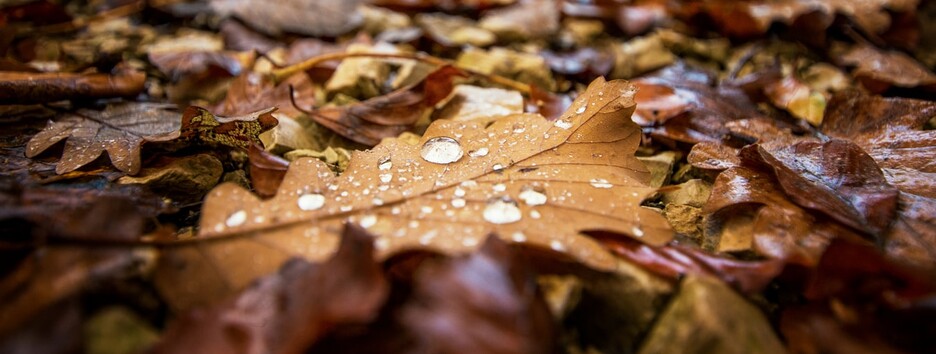 Погода на сегодня: в Украине сухо и солнечно, но скоро придут дожди - карта