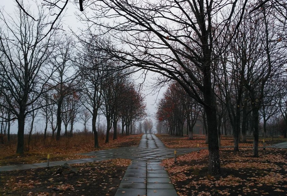 Погода в Украине - местами ожидаются дожди, температура до +27 - карта - фото 1