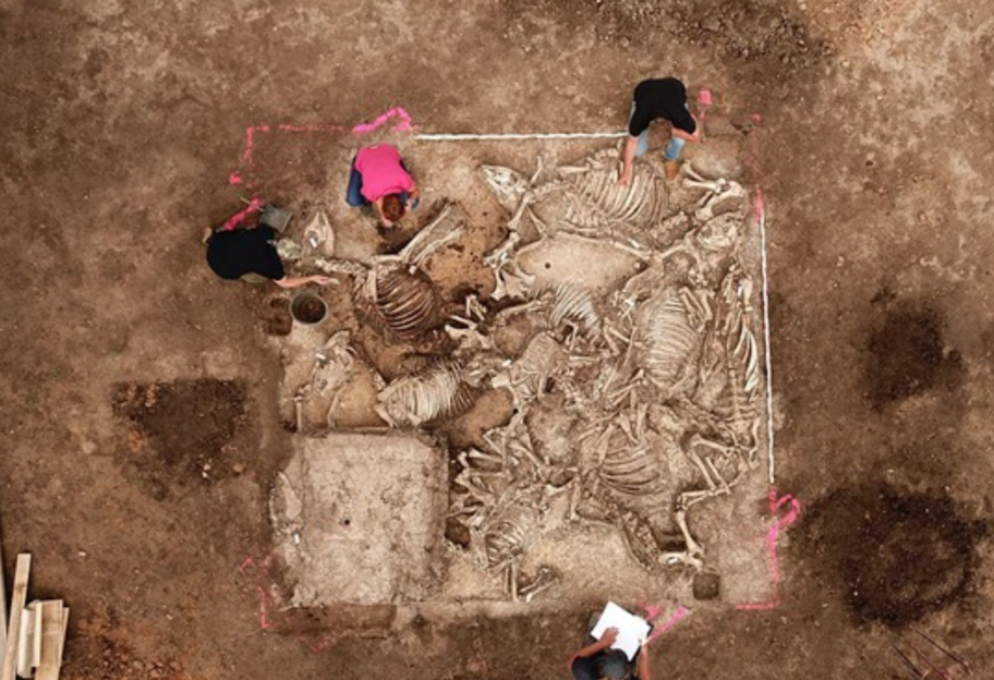 Самая важная находка за полстолетия - в Германии обнаружили тысячелетнюю гробницу  - фото 1