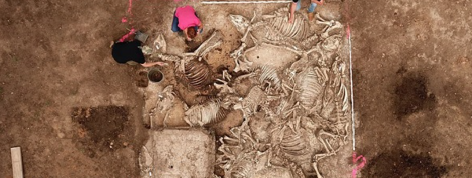 Самая важная находка за полстолетия: в Германии обнаружили тысячелетнюю гробницу - фото