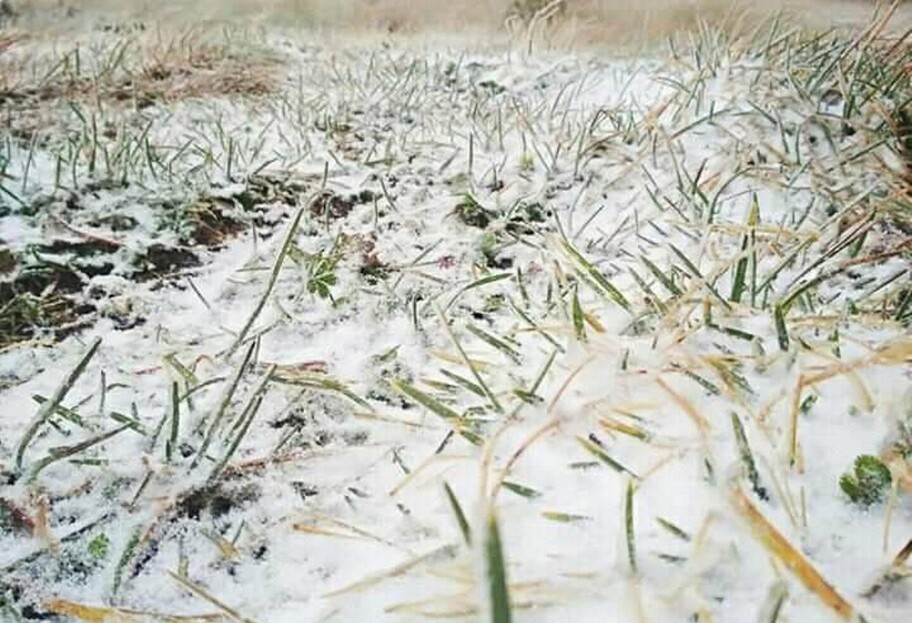 Зима уже близко - в Украине выпал первый снег - фото, видео - фото 1