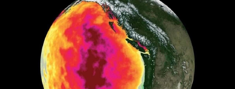 Последствия глобального потепления: в океане появились убийственные 