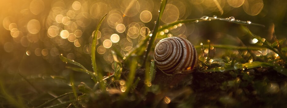 «Роскошная осень проходит быстро»: какую погоду ждать в понедельник - карта