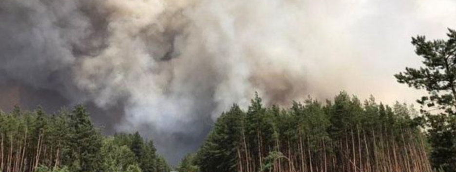 Огонь подходит к электростанциям, детонируют боеприпасы: в Луганской области вспыхнул новый пожар