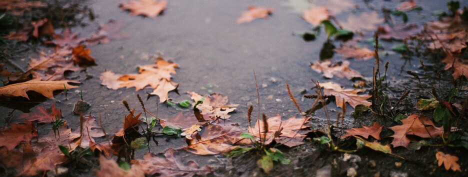 Хорошее время погулять: выходные в Украине будут теплыми, местами ожидаются дожди - карта