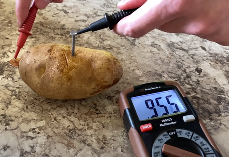 Гаджет на картоплі: американець зіграв в легендарну гру на калькуляторі - відео