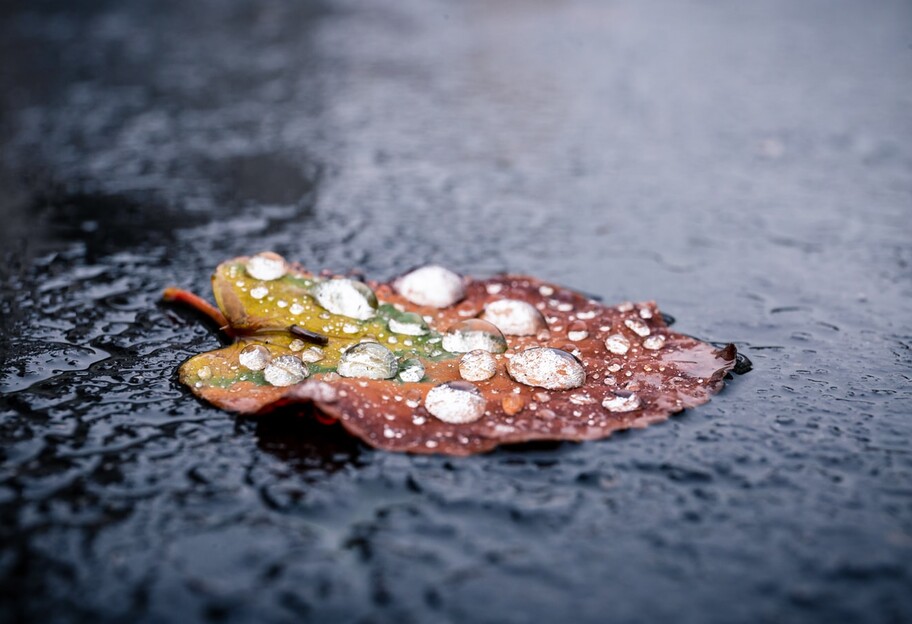 Осінь набирає сили - на вихідні в Україні очікуються дощі і похолодання - карта - фото 1
